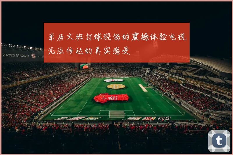 亲历文班打球现场的震撼体验电视无法传达的真实感受