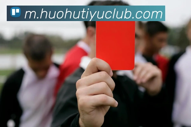 App Interface Preview